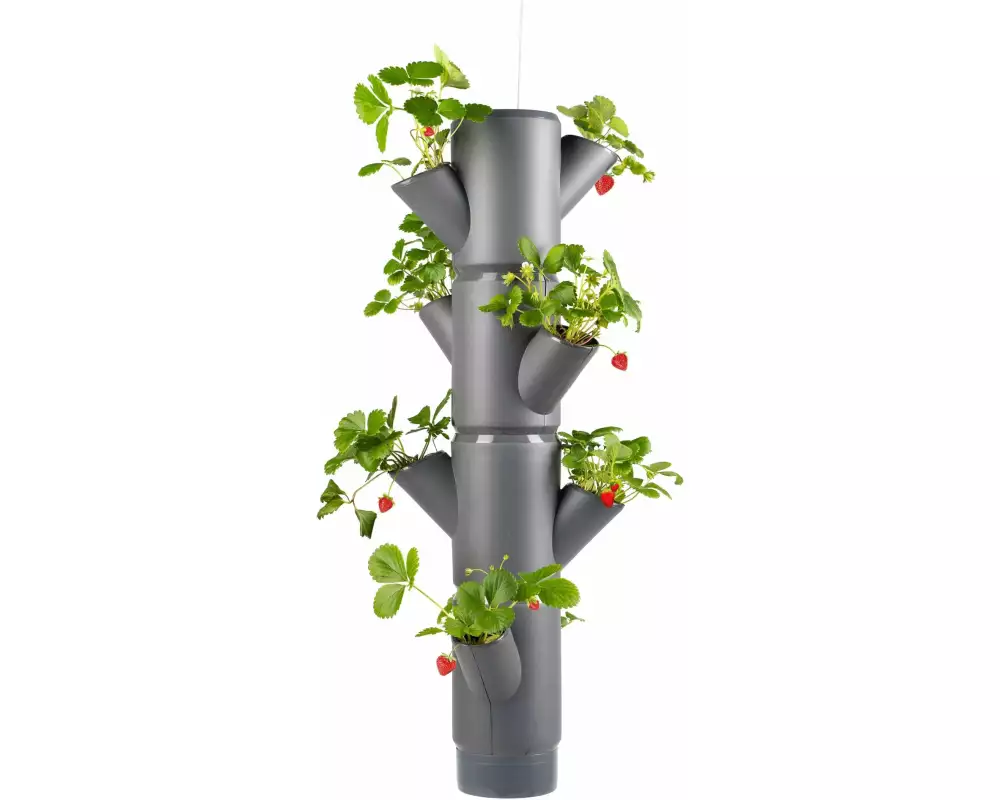 Gusta Garden Aufzuchttöpfe SISSI STRAWBERRY Hanging, Anthrazit