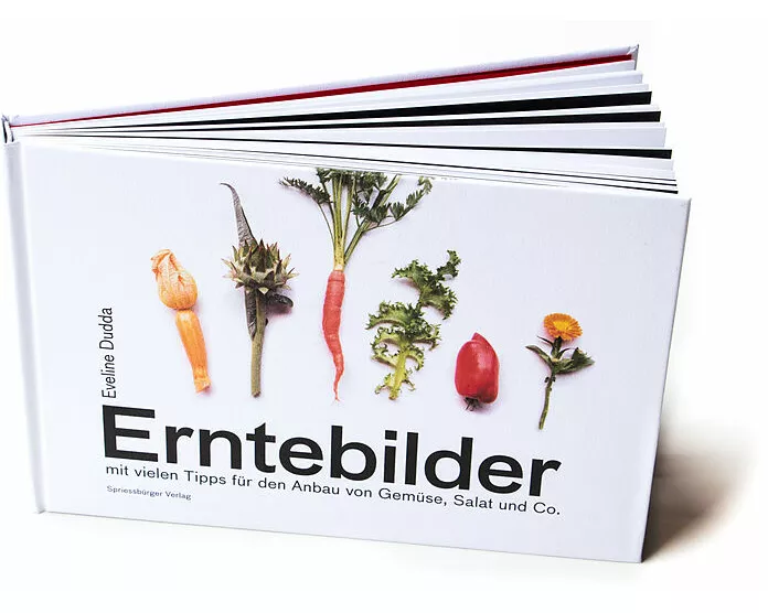 Erntebilder
