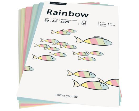 PAPYRUS Rainbow Mixpack 88043187 pastell, 80g 100 Blatt