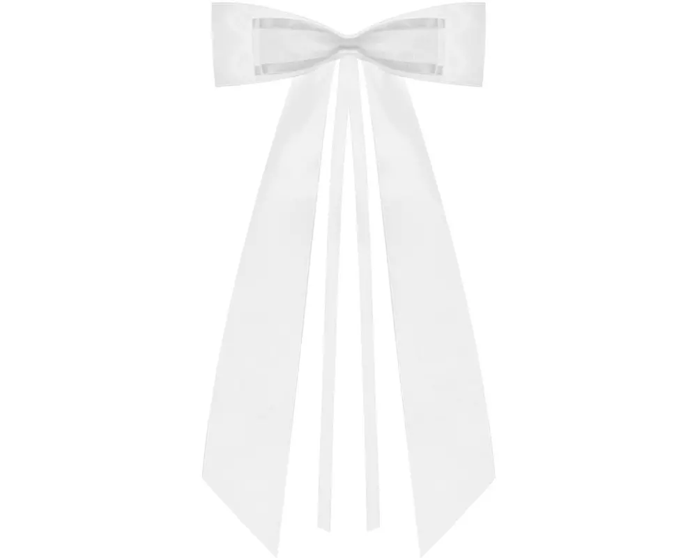 Partydeco Hochzeitsaccessoire Autodeko Schleife Satin 14 cm, Weiss