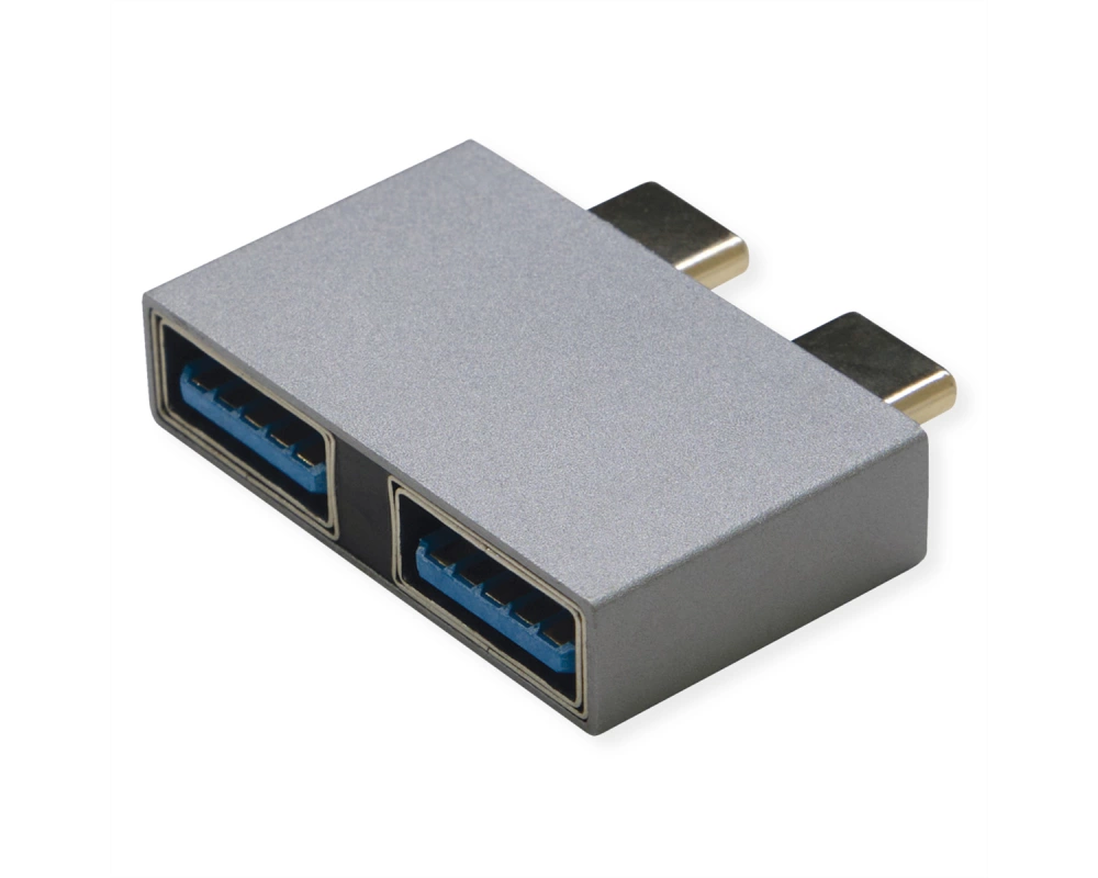 ROLINE USB 3.2 Gen 2 Adapter, 2x USB Typ C - 2x Typ A, ST/BU, silberfarben