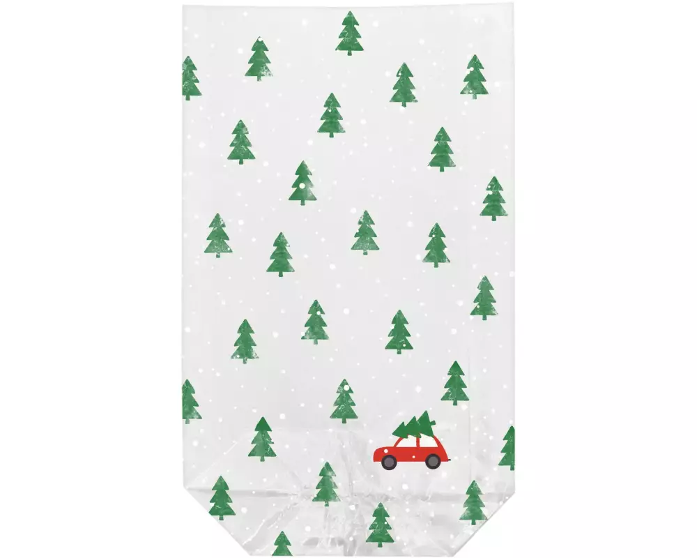 Braun + Company Geschenkbeutel Little Red Car 10 Stück