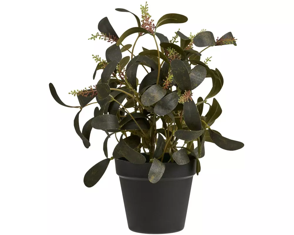 House Nordic Kunstpflanze 35 cm