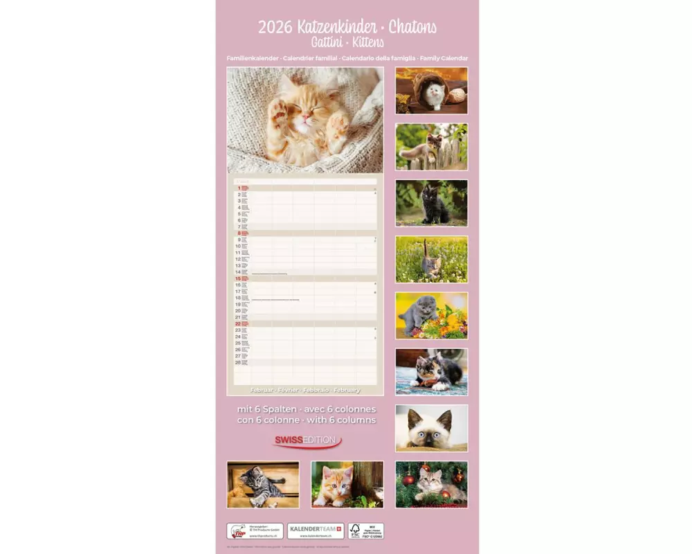 TH Familienplaner Katzenkinder 2026