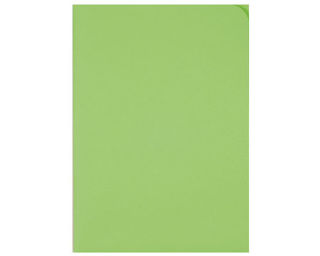 ELCO Organisationsmappe Ordo A4 29466.62 discreta, int.grün 100 Stück