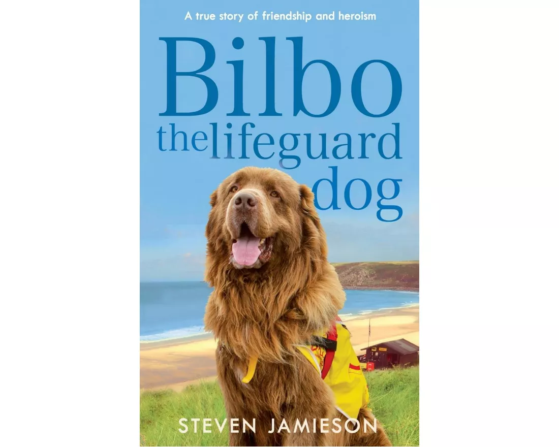 Bilbo the Lifeguard Dog