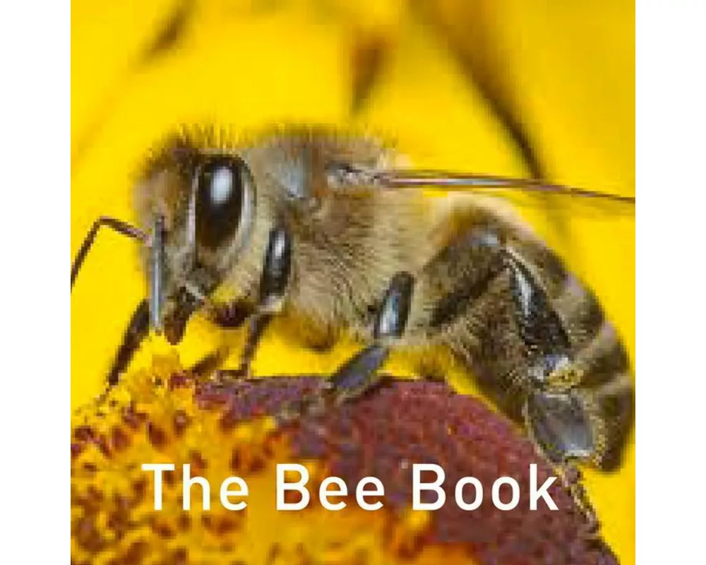 The Bee Book