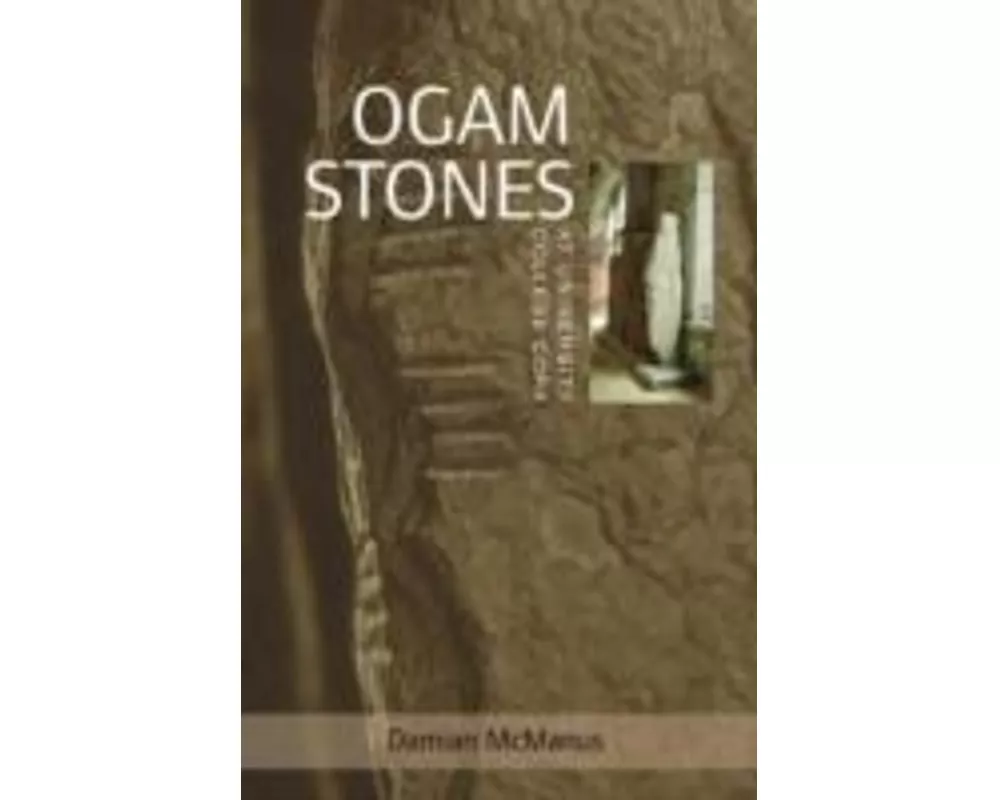 The Ogam Stones at University College Cork