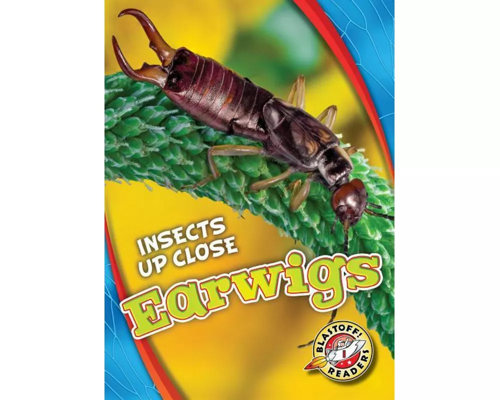 Earwigs