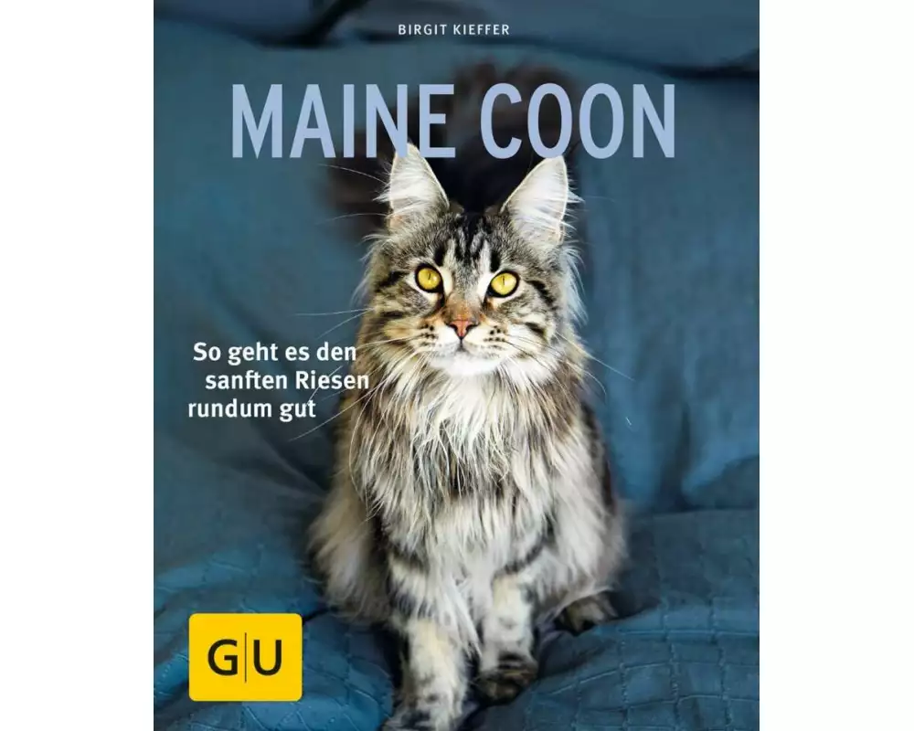 Maine Coon
