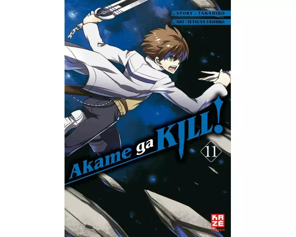 Akame ga KILL! 11
