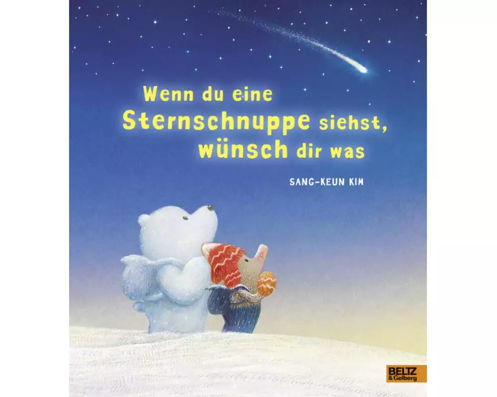 Wenn du eine Sternschnuppe siehst, wünsch dir was