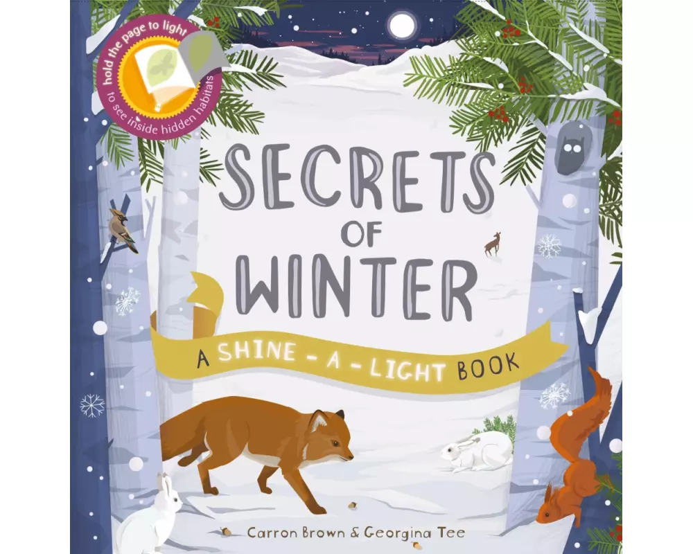 Shine a Light: Secrets of Winter