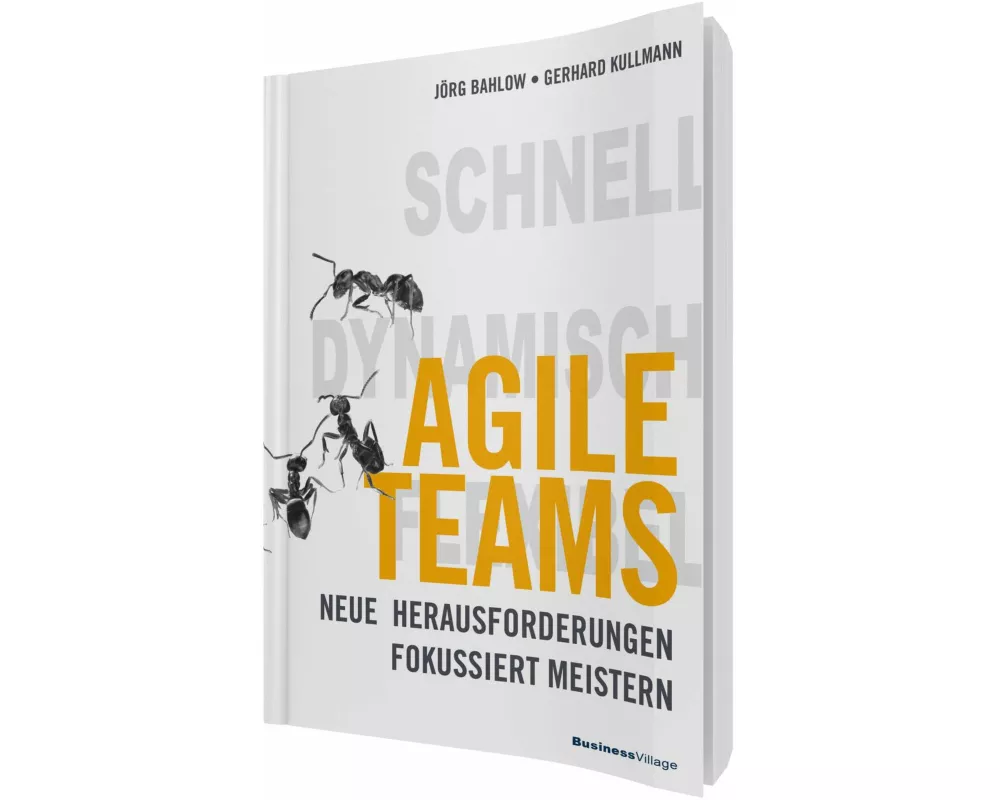 Agile Teams
