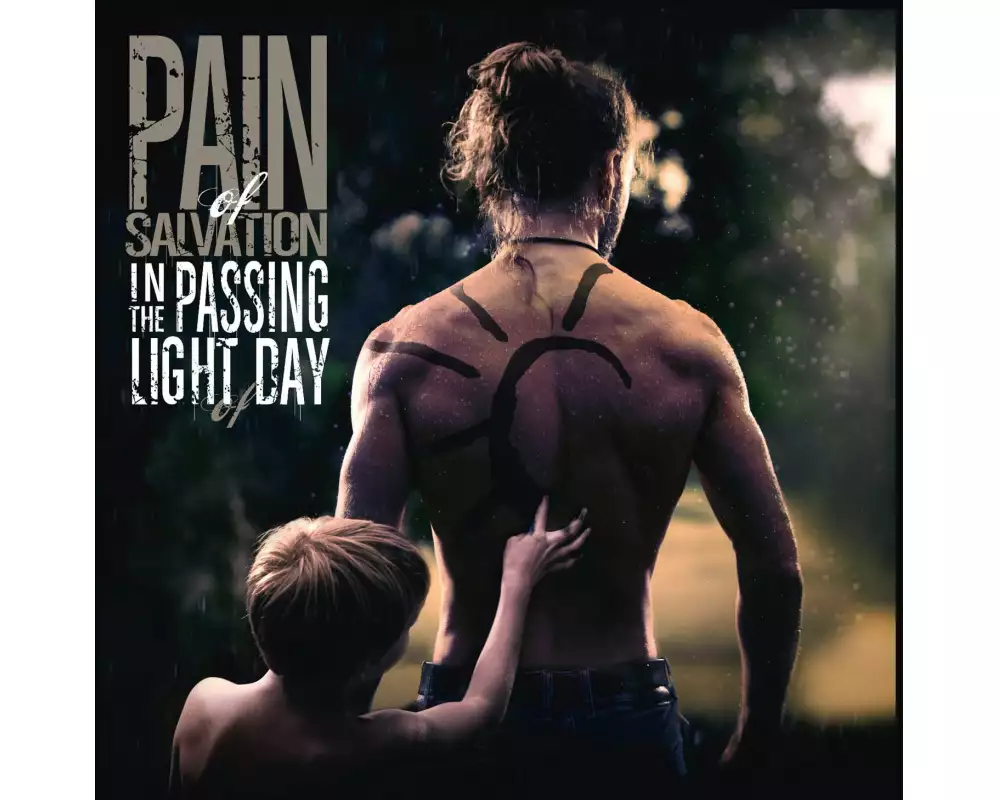 In The Passing Light Of Day