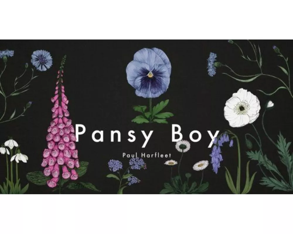 Pansy Boy