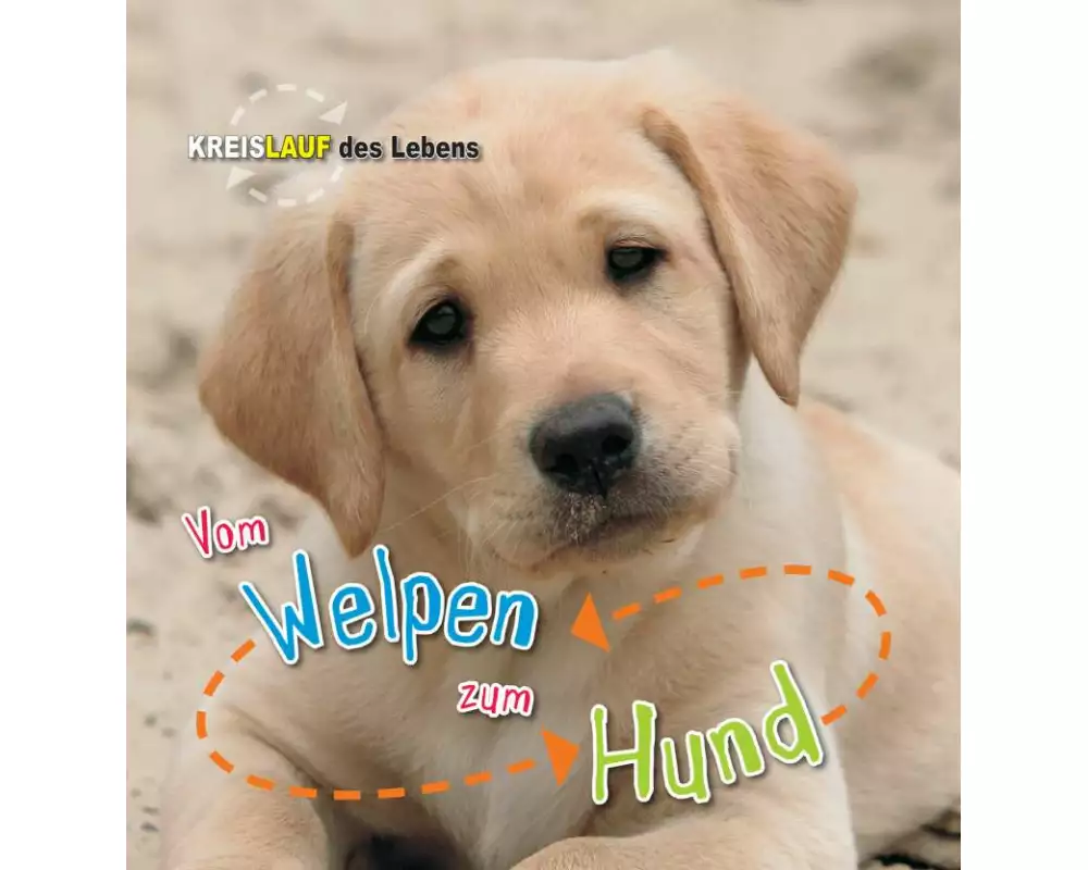 Vom Welpen zum Hund. Kreislauf des Lebens