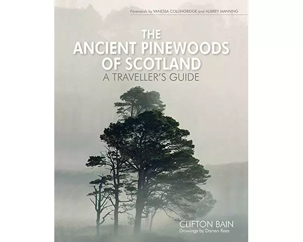 The Ancient Pinewoods of Scotland