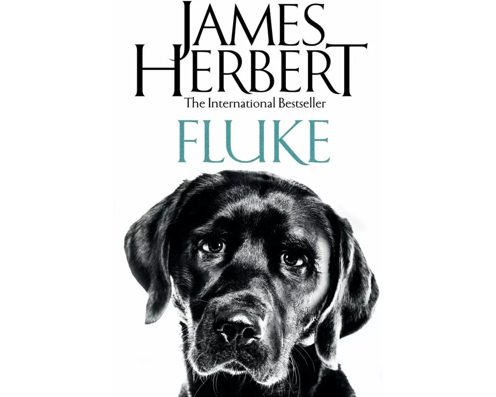 Fluke