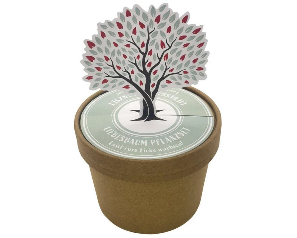 Wunderle Liebesbaum Pott 7 cm