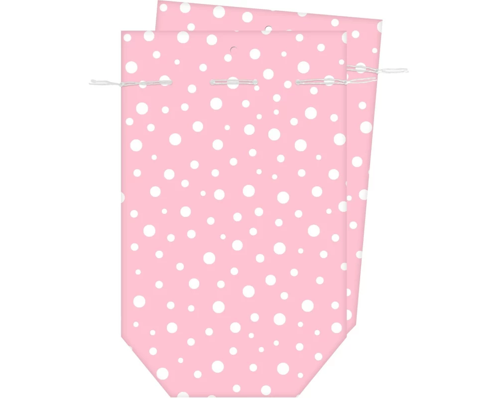 Braun + Company Geschenktasche 2 Stück, 16 x 26 cm, Rosa