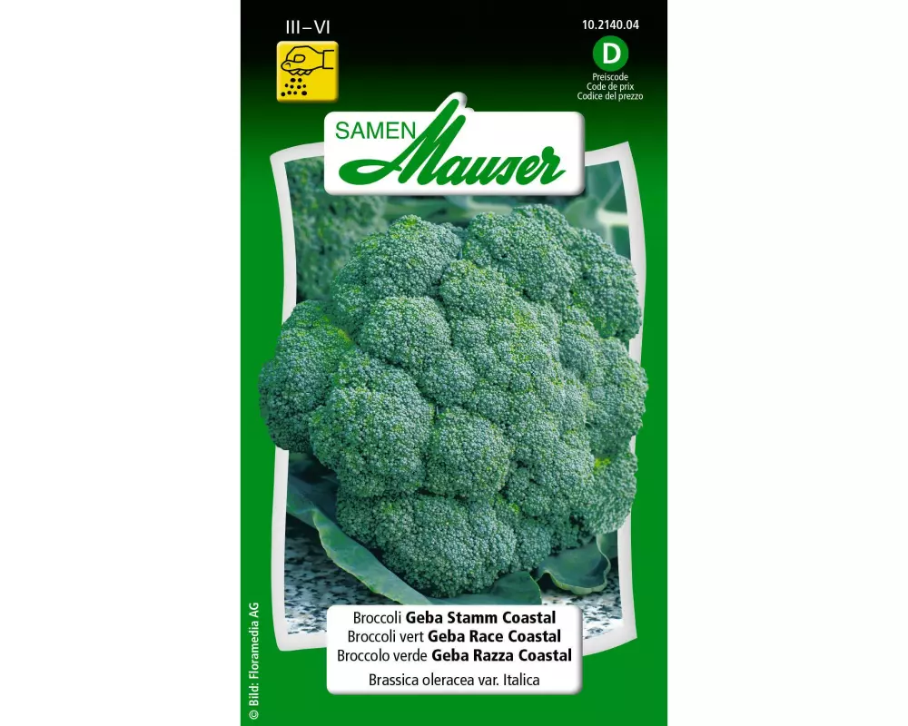 Samen Mauser Samen Broccoli Geba Stamm Coastal