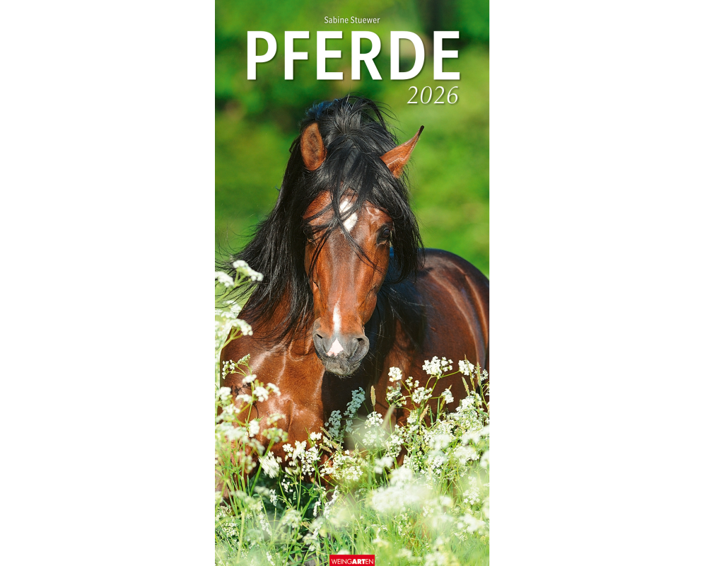 WEINGARTEN Bildkalender 2026 3119300+26 Pferde DE 33x68cm