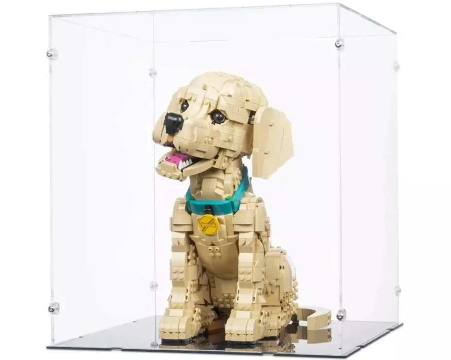 iDisplayit Acryl-Display für LEGO 11384 Golden Retriever Welpe