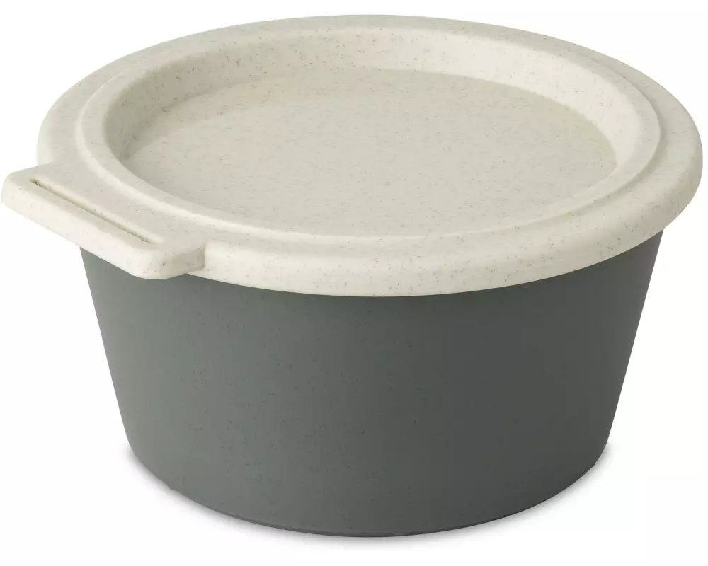 Koziol Schale Move Box mit Deckel 700 ml, Grau