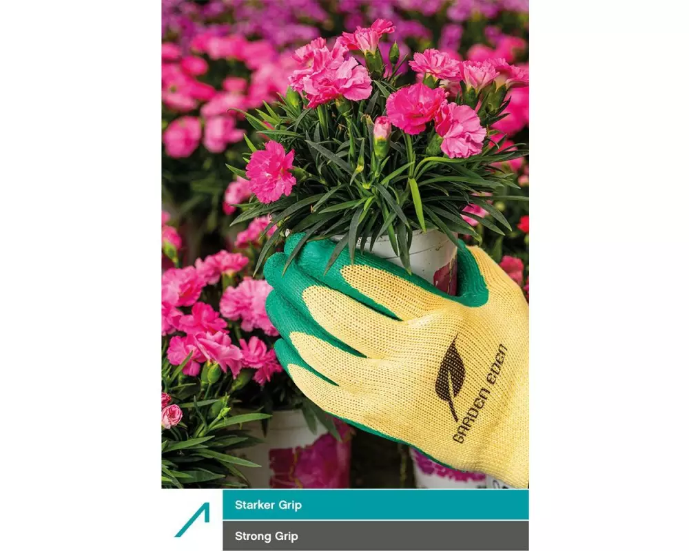 ACE Gartenhandschuh 3 Paar GXXL Grösse: 11