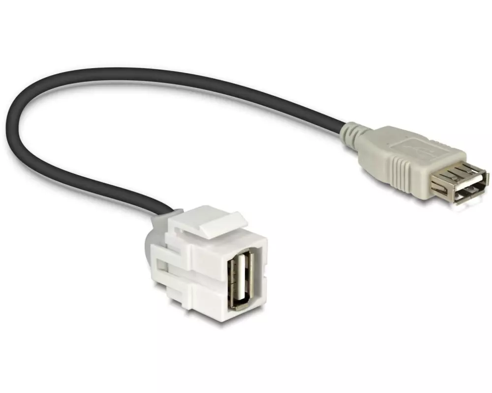 Delock Keystone-Modul USB2.0, A - A, (f-f) 250° gewinkelt, Weiss
