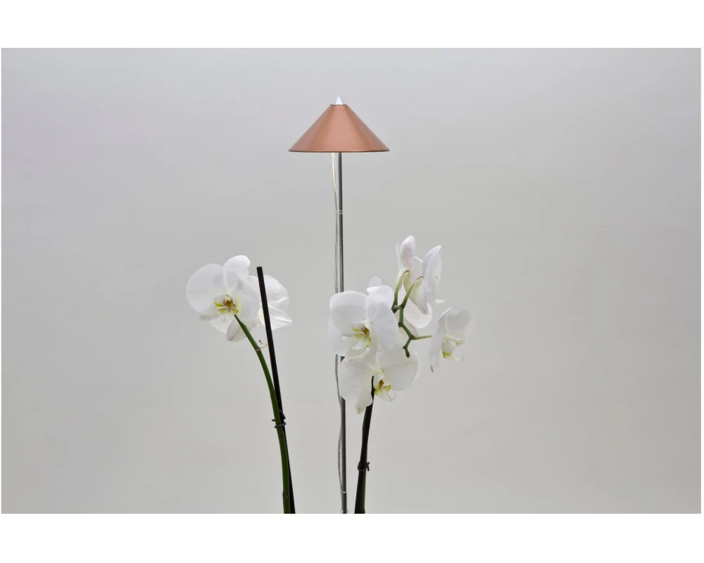 Venso Solutions Pflanzenleuchte SunLite 7 W, Kupfer