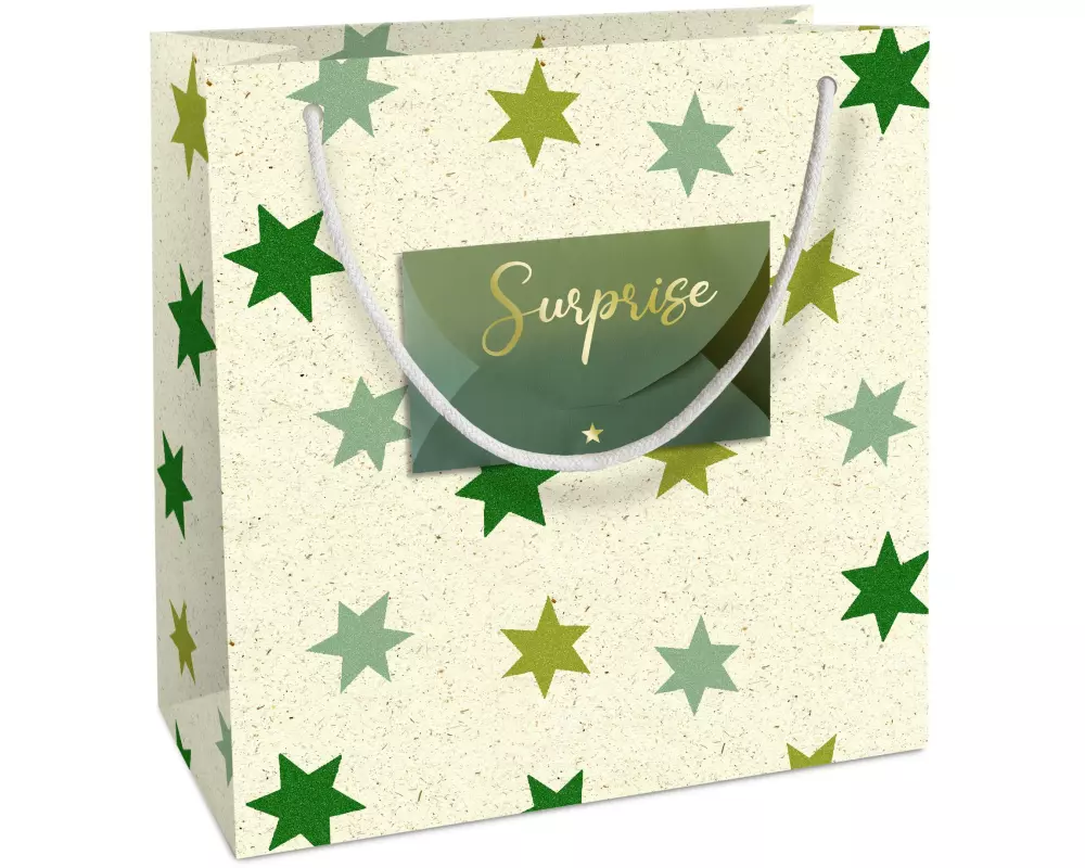 Braun + Company Geschenktasche Iceland Forest 20 x 21 x 8 cm, Beige/Grün