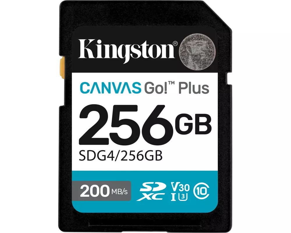 Kingston SDXC-Karte Canvas Go! Plus 256 GB