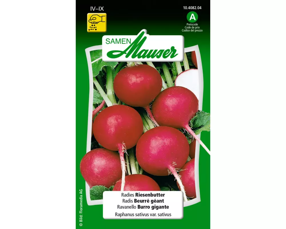 Samen Mauser Samen Radies Riesenbutter