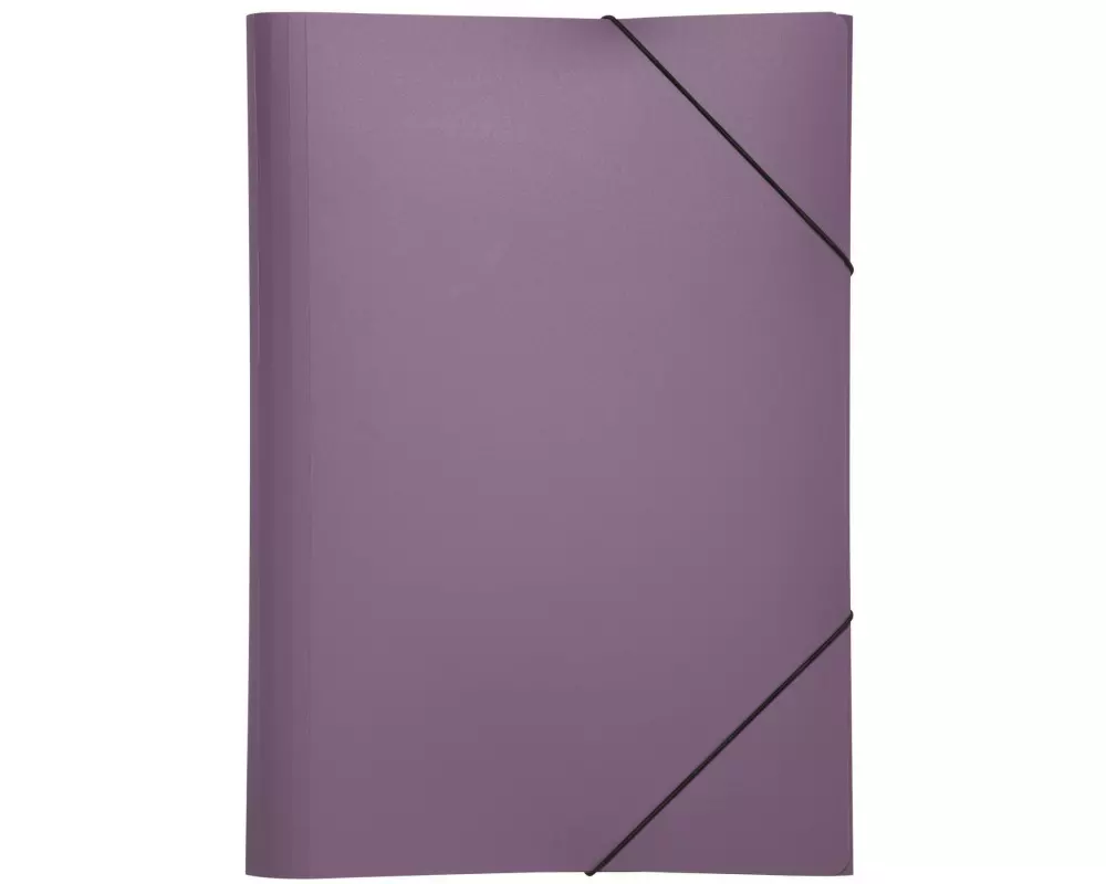 Pagna Gummibandmappe A4 PP Lila