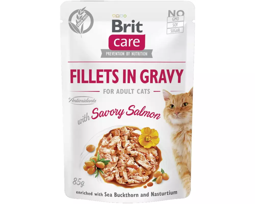 Brit Nassfutter Care Fillets Sauce Lachs, 85 g