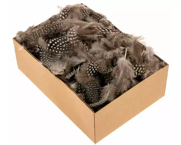 Opiflor Perlhuhnfedern 45 g, Natur-Braun