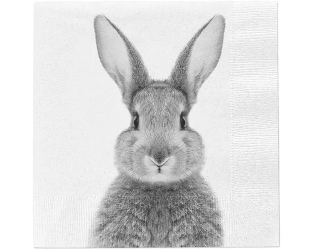 G. Wurm Serviette Hase 20 Stück, 33 x 33 cm