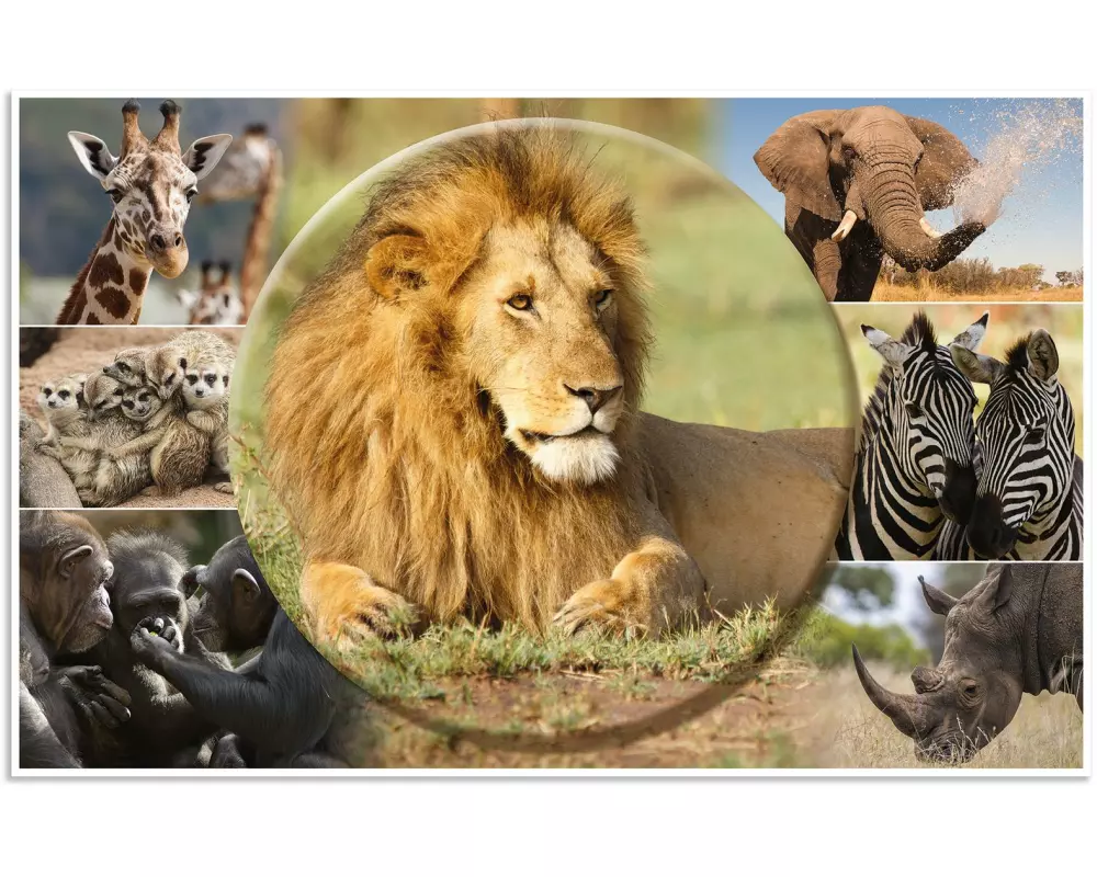 HERMA Schreibunterlage Afrika Tiere 55 x 35 cm