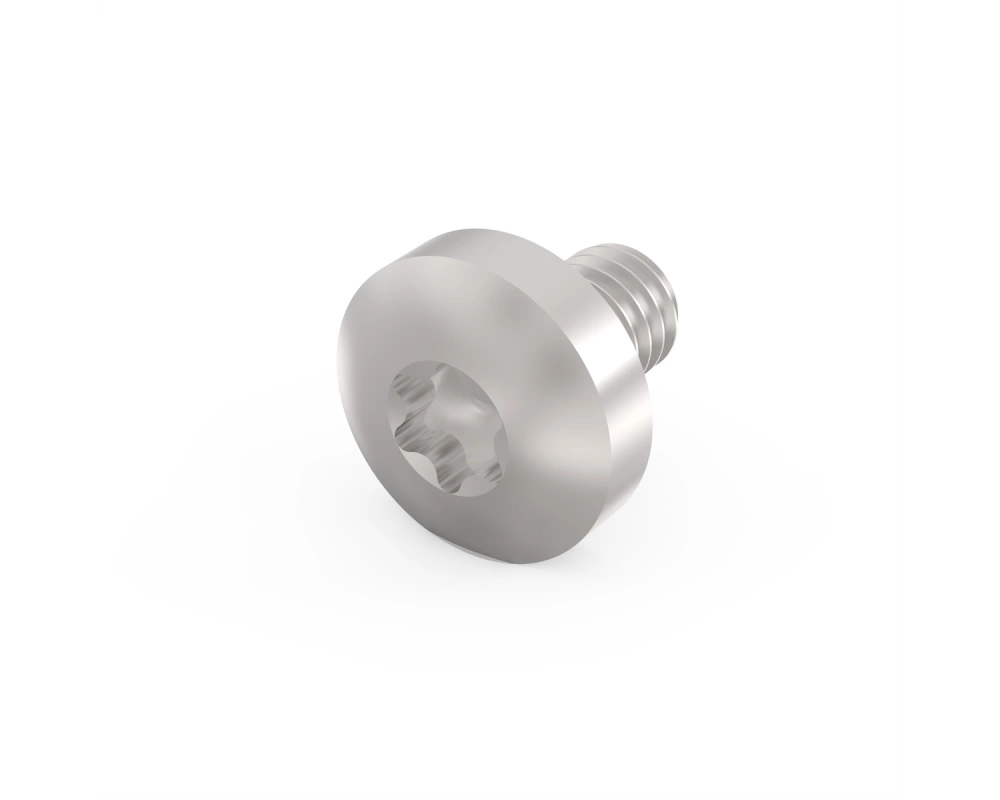 SCHROFF Torx-Linsenkopfschraube - LIKOSHR M4X6 PENTORX (100STK)