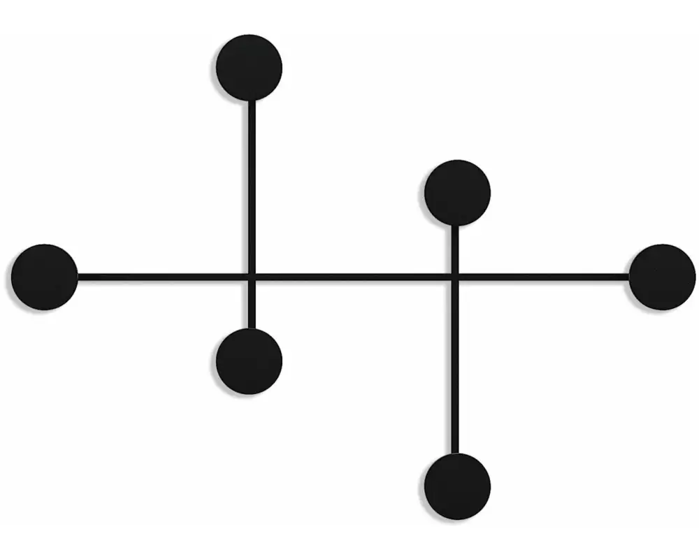 Wallxpert Wandgarderobe Dama 6 Haken, Schwarz