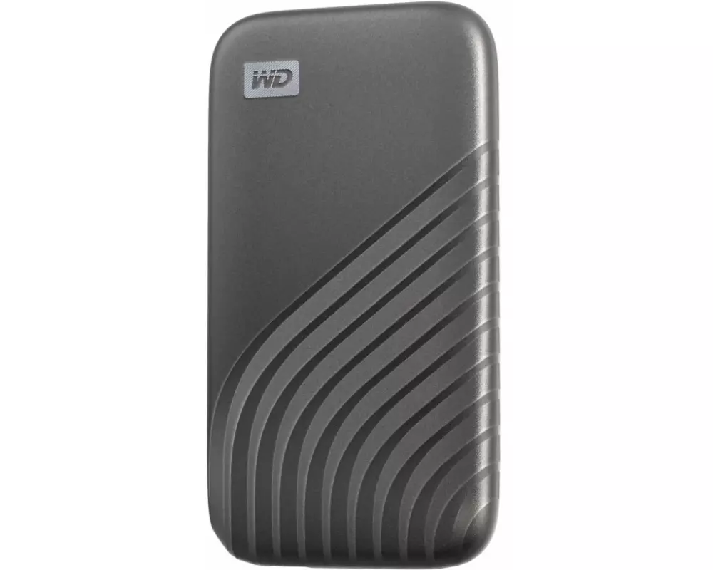 SanDisk Externe SSD My Passport 1000 GB, Grau