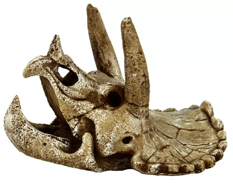 SuperFish Dekoration Schädel Triceratops M