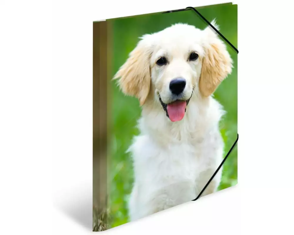 HERMA Gummibandmappe A4 Hunde, Polypropylen, mit Innendruck