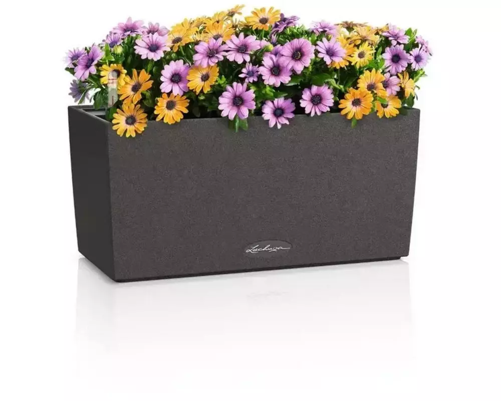 Lechuza BALCONERA Stone 40 Schwarz