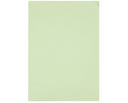 ELCO Organisationsmappe Ordo A4 29466.61 discreta, grün 100 Stück