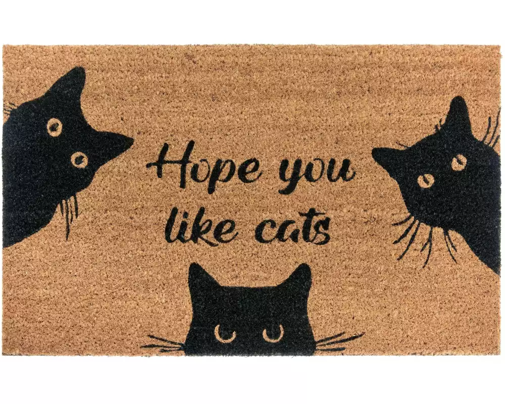 Hanse Home Fussmatte Hope you like cats 45 cm x 75 cm