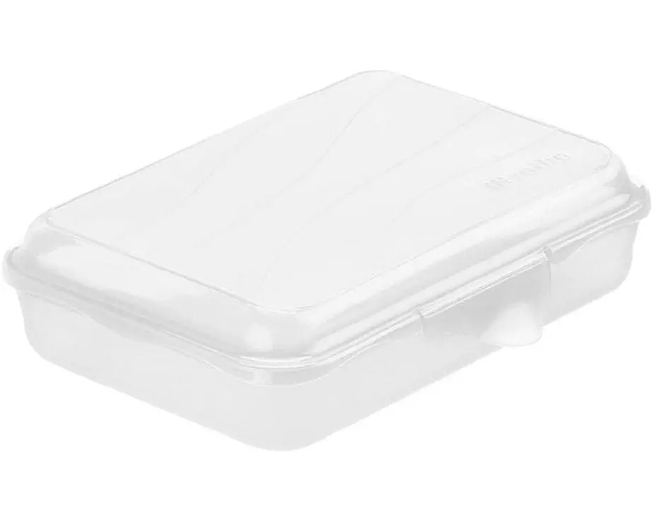 Rotho Lunchbox Fun 450 ml, Transparent