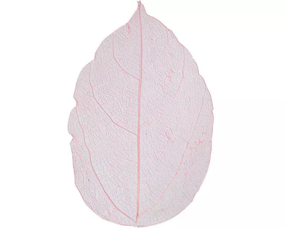 Creativ Company Papierdekoration Laubblätter, Rosa, 20 Stück